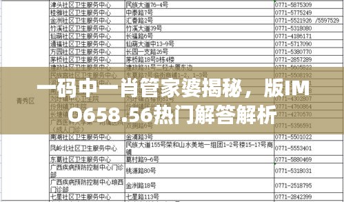 一碼中一肖管家婆揭秘，版IMO658.56熱門解答解析