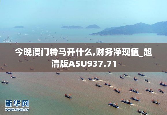 今晚澳門特馬開什么,財務凈現值_超清版ASU937.71