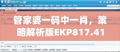 管家婆一碼中一肖，策略解析版EKP817.41測試版