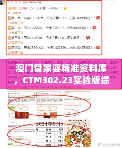 澳門管家婆精準(zhǔn)資料庫(kù)，CTM302.23實(shí)驗(yàn)版綜合策略解讀