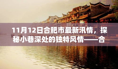 合肥汛情下的隱秘美食天堂探秘，小巷風情與美食之旅