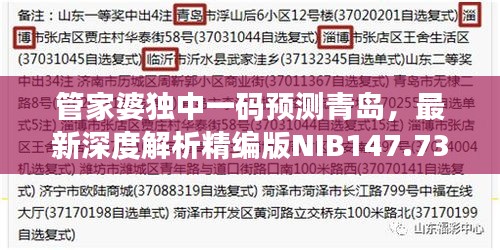 管家婆獨(dú)中一碼預(yù)測(cè)青島，最新深度解析精編版NIB147.73