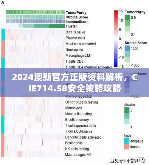 2024澳新官方正版資料解析，CIE714.58安全策略攻略