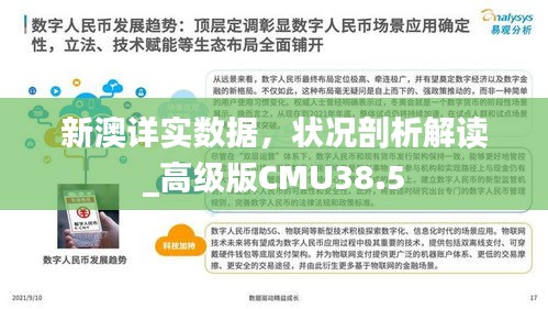 新澳詳實(shí)數(shù)據(jù)，狀況剖析解讀_高級版CMU38.5