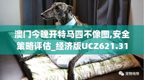 yarenyunshi 第7頁