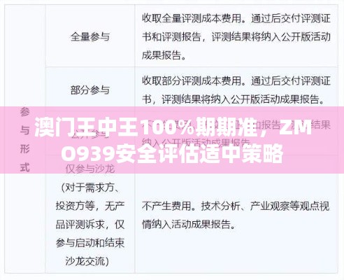 澳門王中王100%期期準，ZMO939安全評估適中策略