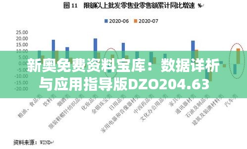 新奧免費資料寶庫：數(shù)據(jù)詳析與應(yīng)用指導(dǎo)版DZO204.63