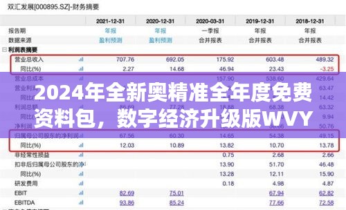2024年全新奧精準全年度免費資料包，數(shù)字經(jīng)濟升級版WVY560.95