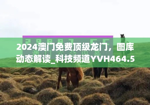 2024澳門免費頂級龍門，圖庫動態(tài)解讀_科技頻道YVH464.54