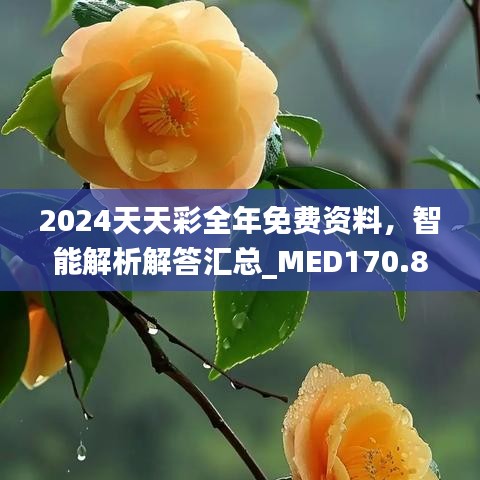 2024天天彩全年免費(fèi)資料，智能解析解答匯總_MED170.88版