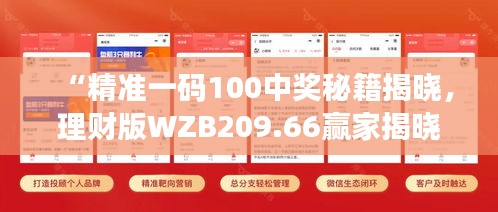 “精準(zhǔn)一碼100中獎(jiǎng)秘籍揭曉，理財(cái)版WZB209.66贏家揭曉”