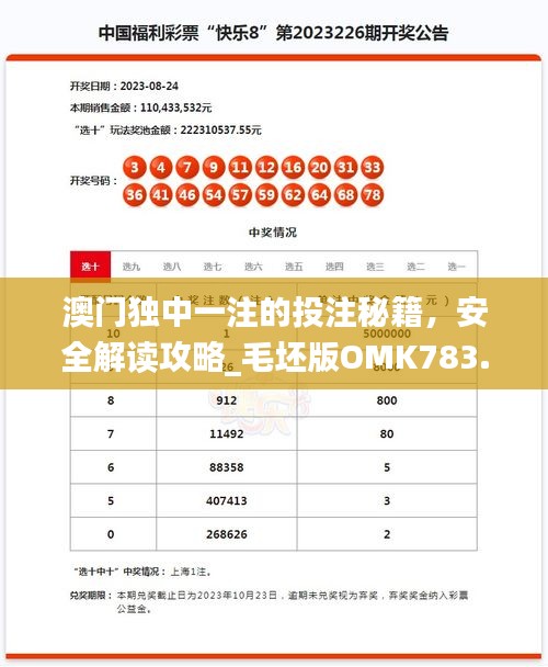 澳門獨中一注的投注秘籍，安全解讀攻略_毛坯版OMK783.49