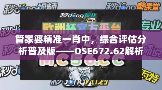 管家婆精準一肖中，綜合評估分析普及版——OSE672.62解析