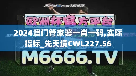 2024澳門管家婆一肖一碼,實際指標_先天境CWL227.56
