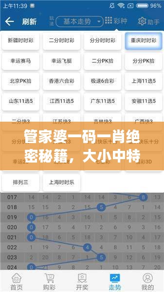 管家婆一碼一肖絕密秘籍，大小中特精準解析，JRW112.88編程版最新解讀