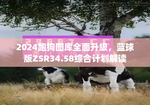 2024跑狗圖庫(kù)全面升級(jí)，藍(lán)球版ZSR34.58綜合計(jì)劃解讀