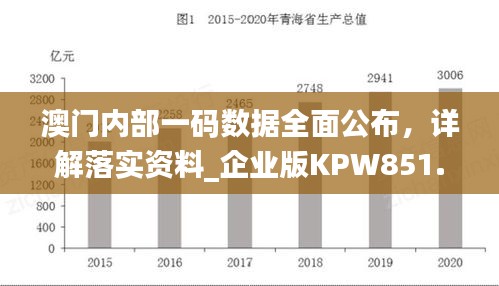 澳門內(nèi)部一碼數(shù)據(jù)全面公布，詳解落實資料_企業(yè)版KPW851.07