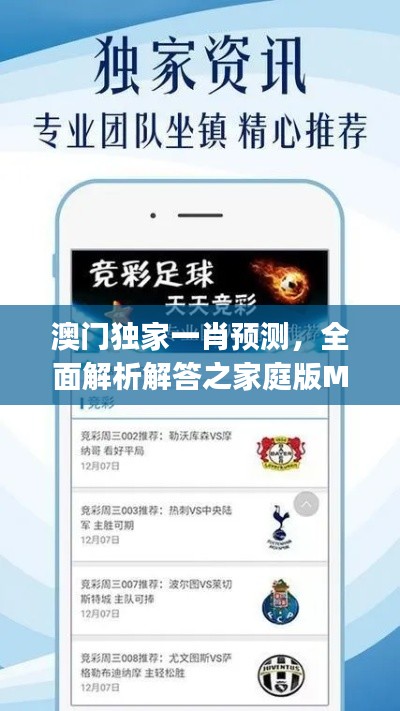 澳門獨家一肖預(yù)測，全面解析解答之家庭版MWJ598.45