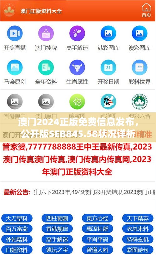 澳門2024正版免費(fèi)信息發(fā)布，公開(kāi)版SEB845.58狀況詳析