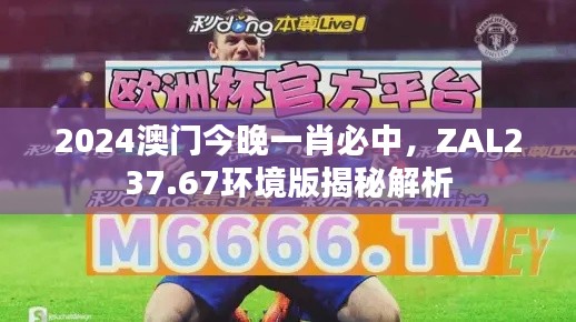 2024澳門今晚一肖必中，ZAL237.67環(huán)境版揭秘解析