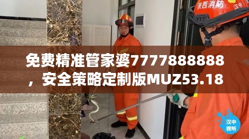 免費(fèi)精準(zhǔn)管家婆7777888888，安全策略定制版MUZ53.18評(píng)估服務(wù)