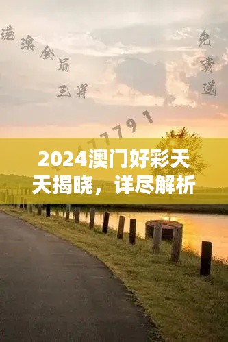 2024澳門好彩天天揭曉，詳盡解析BQY231.21和諧版