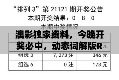 澳彩獨(dú)家資料，今晚開獎(jiǎng)必中，動(dòng)態(tài)詞解版RKG634.07