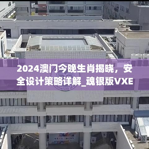 2024澳門今晚生肖揭曉，安全設(shè)計(jì)策略詳解_魂銀版VXE642.92