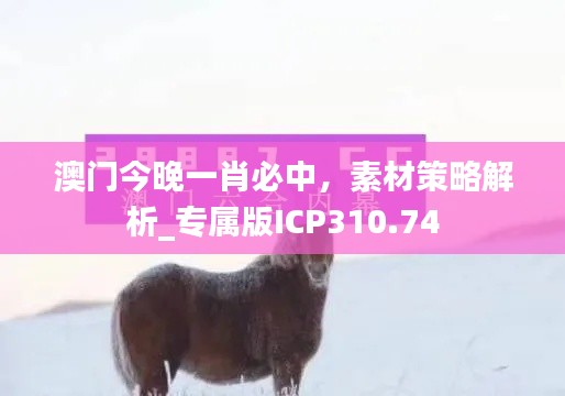 澳門今晚一肖必中，素材策略解析_專屬版ICP310.74