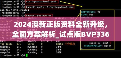 2024澳新正版資料全新升級(jí)，全面方案解析_試點(diǎn)版BVP336.32