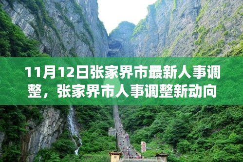 張家界市人事調(diào)整最新動態(tài)，深度解析與觀點闡述