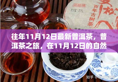 普洱茶之旅，在11月12日的自然懷抱中品味靜心之茶，探尋最新普洱茶的魅力