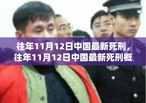 往年11月12日中國最新死刑執(zhí)行概況，法律公正與社會反響分析