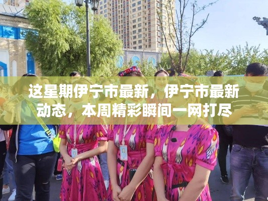 本周伊寧市最新動態(tài)全景呈現(xiàn)，精彩瞬間一網(wǎng)打盡