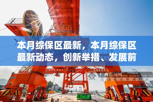 本月綜保區(qū)最新動(dòng)態(tài)及創(chuàng)新舉措，前沿發(fā)展與案例深度剖析
