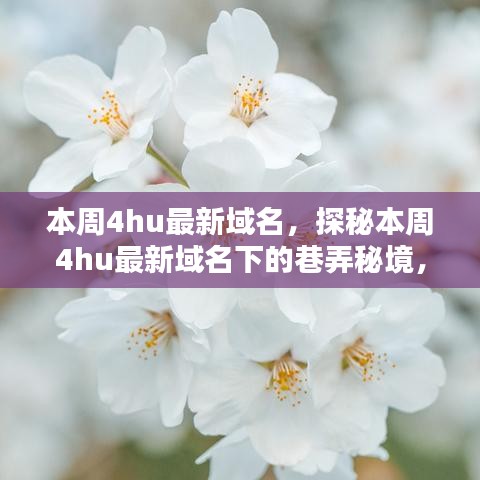探秘本周4hu最新域名下的巷弄秘境，隱藏小店獨(dú)特環(huán)境大揭秘