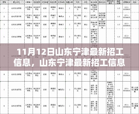 山東寧津最新招工信息，就業(yè)機(jī)遇與挑戰(zhàn)揭秘