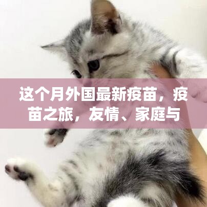 外國最新疫苗引領(lǐng)之旅，友情、家庭與新希望的啟航