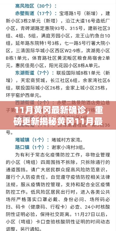 揭秘黃岡11月最新確診情況，深度解析防疫現(xiàn)狀，重要信息一覽無(wú)余