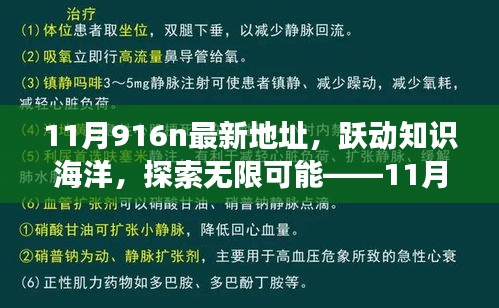 躍動知識海洋，探索無限可能，揭秘11月916n新地址魔法之旅，學(xué)習(xí)成就自信與成長
