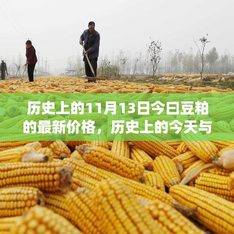 揭秘豆粕市場，今日價格走勢與歷史上的今天關(guān)聯(lián)揭秘