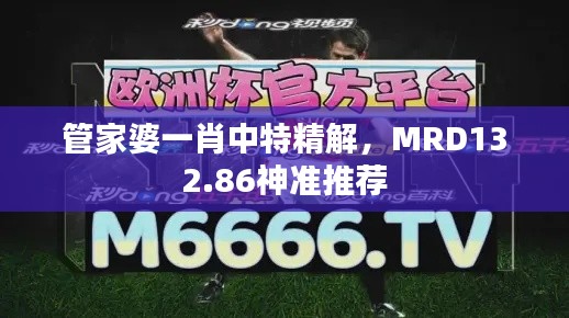 管家婆一肖中特精解，MRD132.86神準推薦