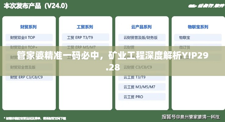 管家婆精準(zhǔn)一碼必中，礦業(yè)工程深度解析YIP29.28