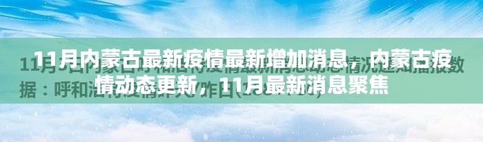 內(nèi)蒙古11月疫情最新動態(tài)，最新增加消息與聚焦