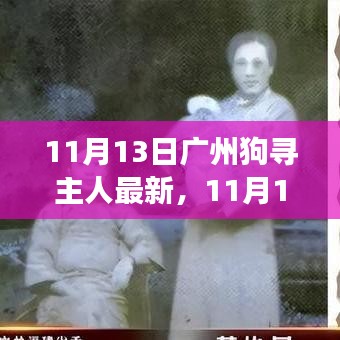 廣州狗狗尋找主人最新進(jìn)展，溫暖重逢與尋寵路上的希望（11月13日更新）