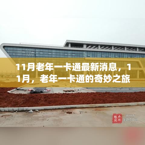 11月老年一卡通最新動(dòng)態(tài)，奇妙之旅開啟