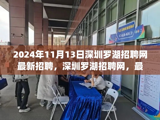 深圳羅湖招聘網(wǎng)最新動態(tài)，2024年招聘趨勢與深遠影響分析