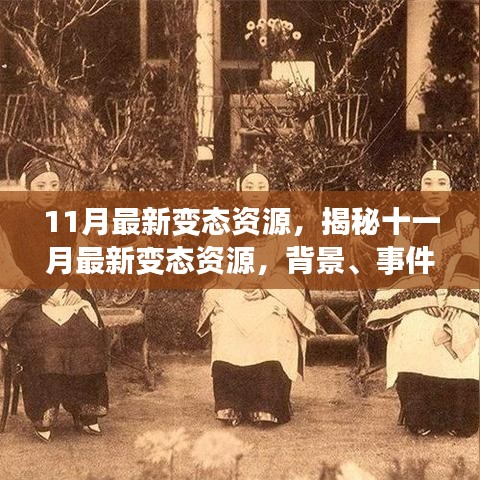 揭秘十一月最新變態(tài)資源，背景、事件、影響與時(shí)代地位全面解析