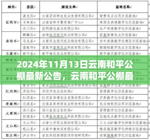 云南和平公棚最新公告發(fā)布，多元觀點(diǎn)探析與解讀
