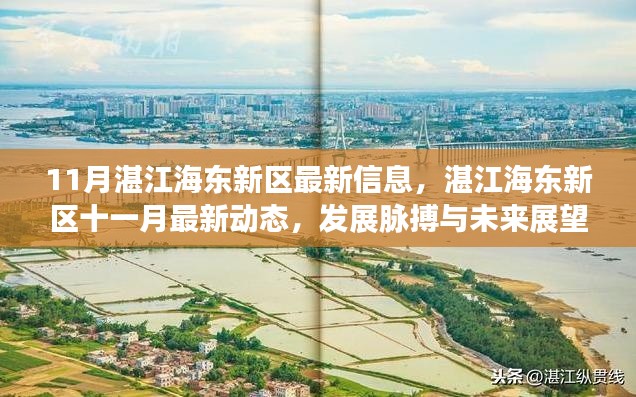湛江海東新區(qū)十一月最新動(dòng)態(tài)，發(fā)展脈搏、未來(lái)展望與最新信息速遞
